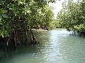 27a - Canoë 022